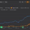 Thomas Phillips – E-commerce SEO & GEO Academy